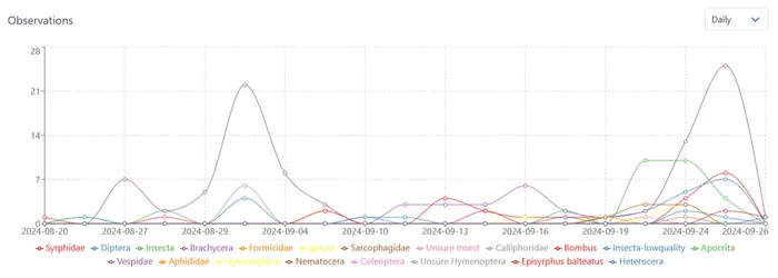 Screenshot of the Sensibee web platform showing pollinator activity charts and species data