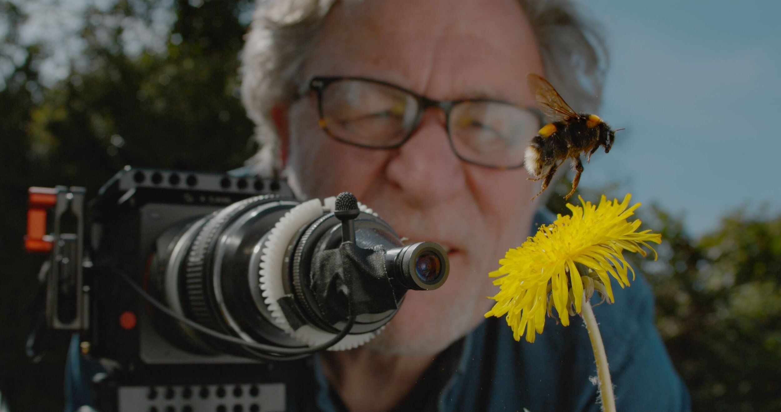 Martin Dohrn filming bumblebee for My Garden of a Thousand Bees documentary about pollinator identification