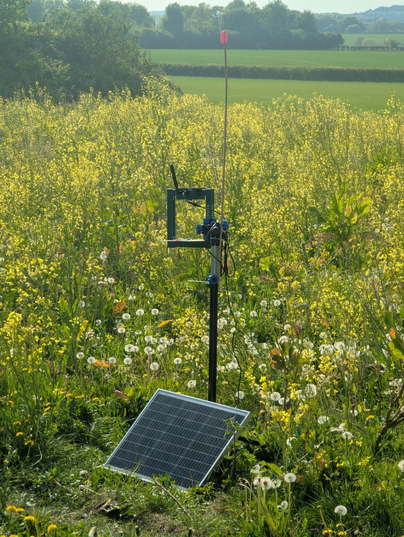Sensibee field deployment for automated insect monitoring and biodiversity assessment in agricultural landscape