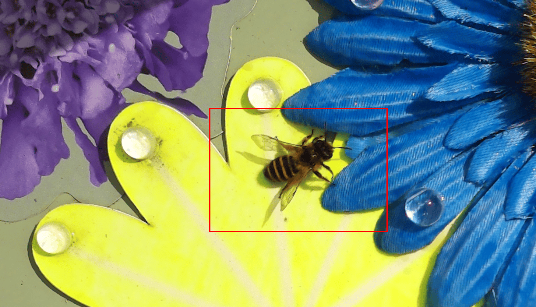 Sensibee automated pollinator monitoring in soft fruit polytunnel for commercial agriculture