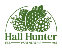 Hall Hunter Partnership